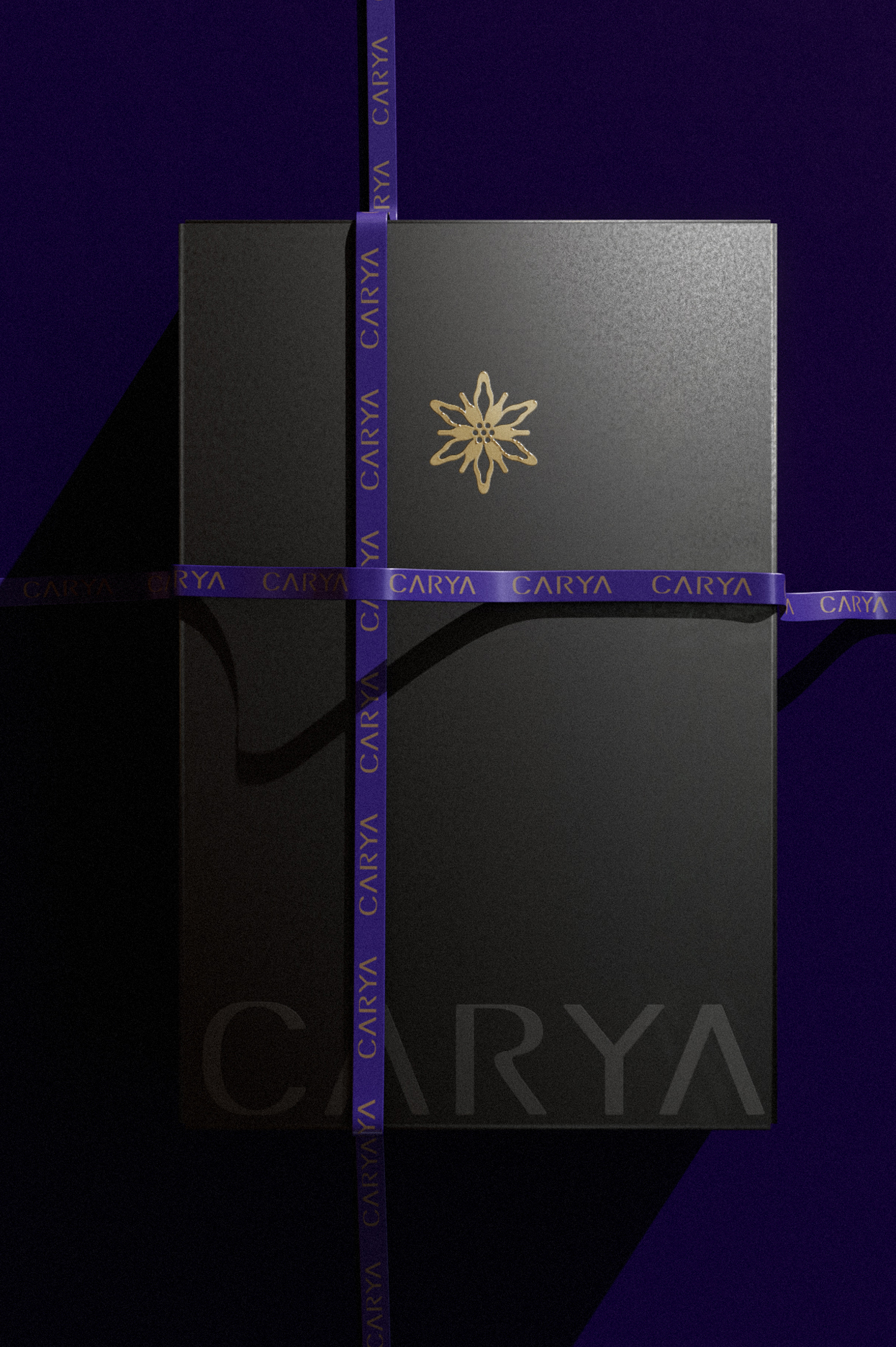 双图上传 #1 - 右侧